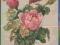 Kwiaty  pocztówka wyd. do 45r. z/o