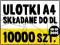 ULOTKI A4 do DL składane - 10000 szt - MASZYNOWO