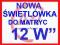 NOWA ŚWIETLÓWKA 12