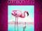 Crimson Wing Flamingi Blu-ray Disneynature