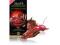 LINDT CZEKOLADA DESER Z NADZIENIEM WISNIA I CHILI