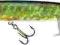 Wobler Jaxon Holo Select Pike 12 cm F PL