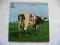 Pink Floyd - Atom Heart Mother (Harvest ESP) EX+