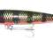 Rapala Shallow Magnum 14cm 30g, SMAG14BBL na okazy