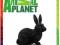 ANIMAL PLANET FIGURKA KRÓLIK CZARNY NIE SCHLEICH