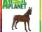 ANIMAL PLANET FIGURKA KOŃ MORGAN NIE SCHLEICH