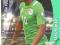 FIFA WORLD CUP BRASIL 2014 SOFIANE FEGHOULI STAR P