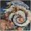 The Moody Blues - A Question Of Balance, UK