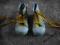 Buty trampki rozm 24 wkł 16 cm DELFIN