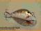 Wobler HAND-MADE 4cm / 2,8g + PRZYPON