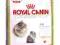 ROYAL CANIN PERSIAN KITTEN - 0,4kg.
