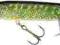 Wobler Jaxon Holo Select Pike Deep Water 10cm DR P