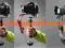 Stabilizator kamery/aparatu SteadyCam W02r