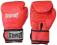 Rękawice Bokserskie FIRE _EVERFIGHT_ 10oz