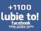 1100 FANÓW FACEBOOK FANI FANPAGE -POLSKIE KONTA FB