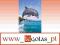 Puzzle 500 elementów. Delfin