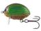 Wobler Salmo LIL'BUG GREEN BUG 2.5cm/2.8g flo