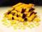 eRepublik (tani gold) paczki po 10szt.(1G=0,35PLN)