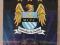 Panini CH L 2014 Team Logo MANCHESTER CITY FC