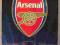 Panini CH L 2014 Team Logo ARSENAL FC