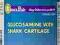 Glukozamina 650mg Chrząstka rekina 415mg- 90tabl.
