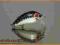 Wobler HAND-MADE 3cm / 1,8g + PRZYPON