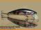 Wobler HAND-MADE CIERNIK 6cm / 3,7g + PRZYPON