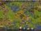 Konto settlers 49lv 140.000 klejnotów warte 2000zł