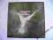 ELP - S/T (Island 1press GER) EX-