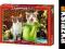 Puzzle 1000 Dwa kotki i zielona konewka CASTOR
