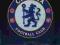 CHAMPIONS 2013/14 TEAM LOGO / HERB - CHELSEA +GRAT