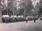 Zdjęcie z obozu przysposobienia wojskowego z 1937