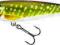 WOBLER SALMO PIKE 11CM 15G PE PŁYWAJĄCY PE11FPE