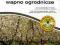 BIOPON wapno ogrodnicze 1 kg