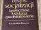 Tillmann - Teorie socjalizacji