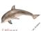 DELFIN RĘCZNIE MALOWANY SCHLEICH 14699 Kraków