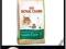 ROYAL CANIN Maine Coon Adult 31 4kg Promocja!!!