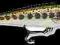 Wobler Rapala Countdown 5cm