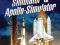 Space Shuttle Simulator : Apollo Simulator Inc (P
