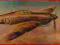 Hurricane Mk.I Trop. 1/48 Hasegawa # 09323