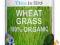 Młoda Pszenica WHEAT GRASS 100% ORGANIC Detox