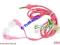 SLUCHAWKI FULL COLOR ROZOWE JACK 3,5mm GW+FV