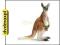 dvdmaxpl SCHLEICH KANGUR NEW 2009 14603 (ZABAWKA)