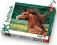 Puzzle Trefl 500 - Łeb konia w galopie