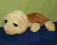 żółw Shelly duże oczy 15cm RUSS