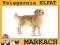 figurka Golden retriever pies Schleich