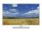 TV LED PANASONIC TX-L42E6 FULL HD 100Hz SMART TV