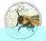 Palau Świat insektów - Pszczoła - Bumle-Bee