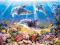 PUZZLE CASTOR 500 EL. DELFINY POD WODĄ