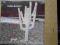 INDIAN SUMMER - INDIAN SUMMER - LP NOWY AKARMA